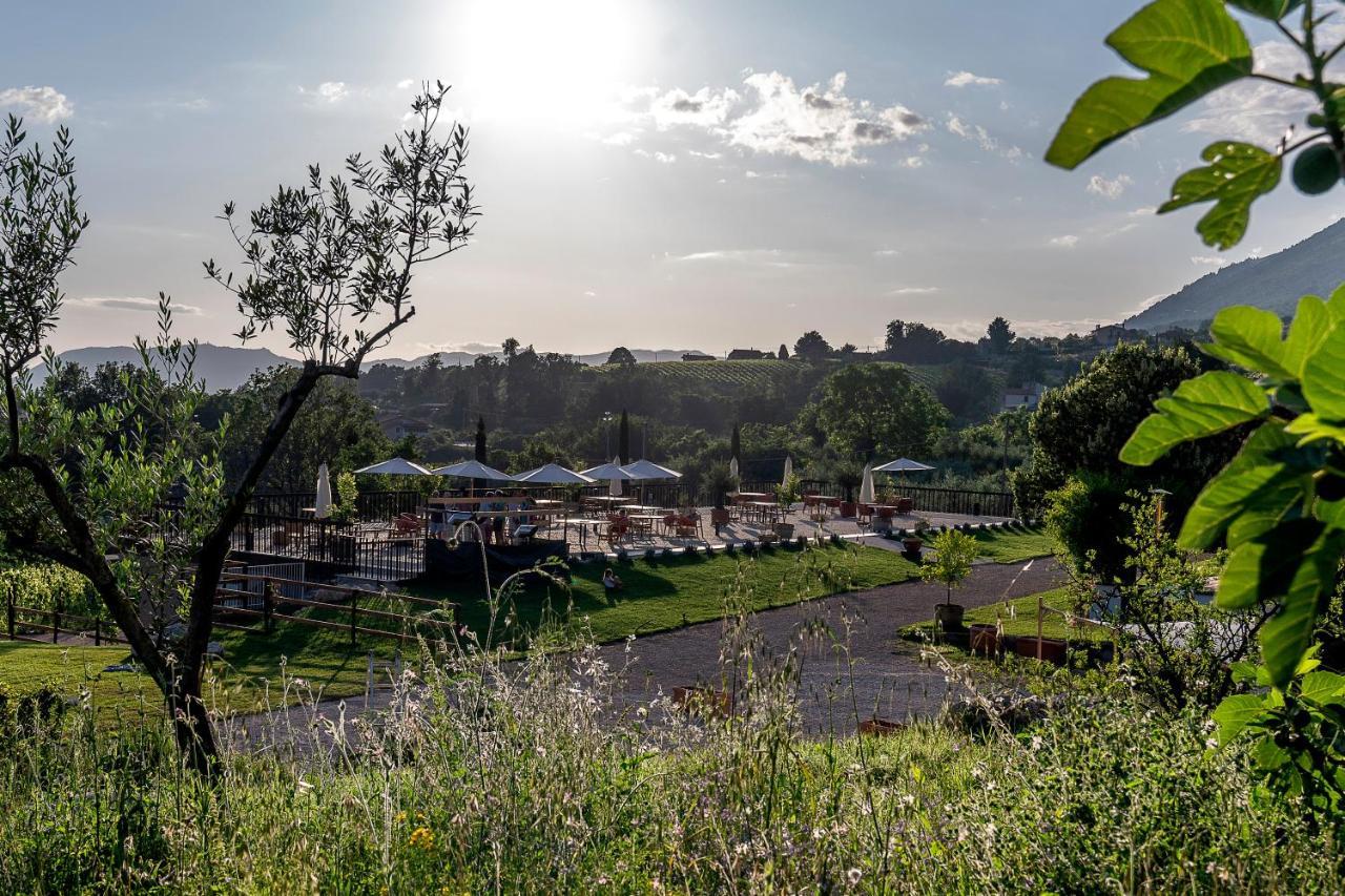 Al Piglio Maison De Charme Wine & Wellness Resort ภายนอก รูปภาพ
